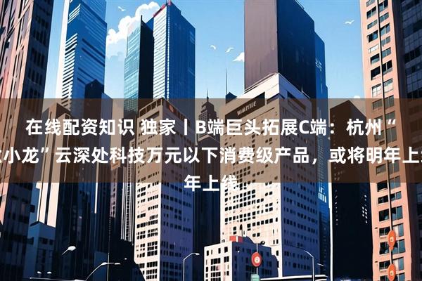 在线配资知识 独家丨B端巨头拓展C端：杭州“六小龙”云深处科技万元以下消费级产品，或将明年上线